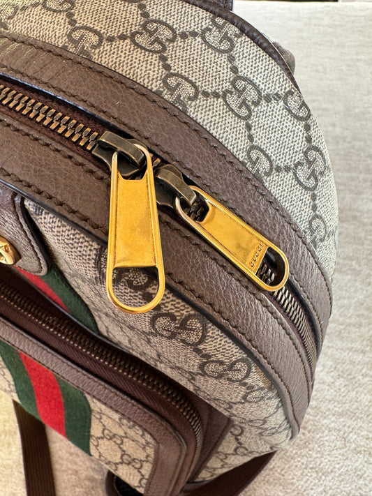 Gucci Ophidia Backpack